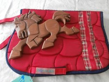 Pony shetty schabracke gebraucht kaufen  Walchum