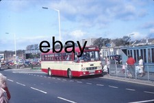 Western scottish seddon for sale  LARGS