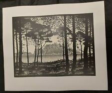 Escher pineta calvi gebraucht kaufen  Nastätten