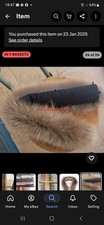 100 real raccoon for sale  LINCOLN