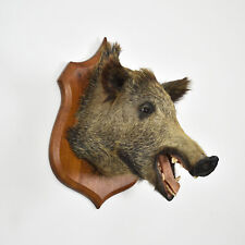 Antique vintage antique for sale  WESTBURY