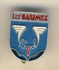 Insigne chantiers jeunesse usato  Spedire a Italy