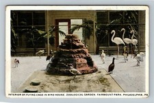 Cartão postal vintage Filadélfia Pensilvânia GAIOLA VOADORA INTERIOR NA CASA DOS PÁSSAROS comprar usado  Enviando para Brazil