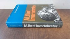 Life invertebrates hunter for sale  UK
