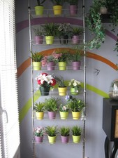 Mur décoratif plantes d'occasion  Saint-Priest