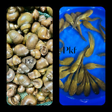 Combos lot live for sale  Lima