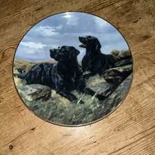 Royal doulton labrador for sale  CRAVEN ARMS