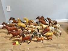 pony mare for sale pony mare for sale Bloomfield