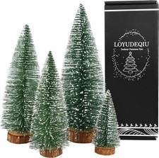 Desktop miniature pine for sale  BRADFORD