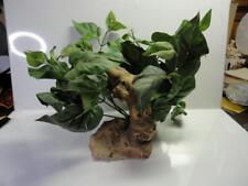 Fake plant rock for sale  Litchfield