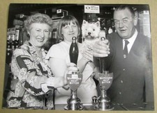 Usado, Scarborough Evening News Press Photo Arado Scalby Walton Landlord Westie Dog comprar usado  Enviando para Brazil