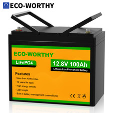 Eco worthy 100ah for sale  UK
