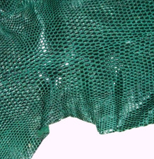 Lézard peau entière d'occasion  Doyet