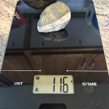 Green jasper wishing for sale  Pocatello