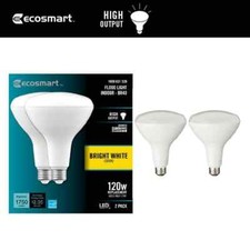 Ecosmart 120 watt for sale  Harrisburg
