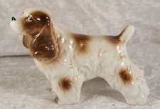 american cocker spaniel for sale american cocker spaniel for sale CAMELFORD
