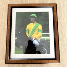 Framed picture jump for sale  LANGPORT