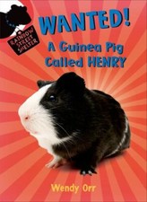 Wanted guinea pig for sale  Aurora
