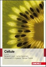 Cellule lewin cassimeris usato  Roma