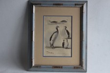 Aquarelle oiseau lac d'occasion  Seyssel