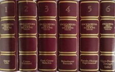 Enciclopedia delle religioni. usato  Italia