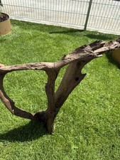 Grosse wurzel aquarium gebraucht kaufen  Schwaig b.Nürnberg