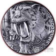 Smilodon doppio gigante usato  Ciampino