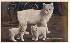 Postcard manx cat for sale  NORWICH