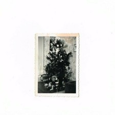Old photo christmas d'occasion  Expédié en Belgium