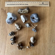 Schöne hühnergötter lochste gebraucht kaufen  Wuppertal