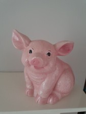 Pink pig plant for sale  CORBY