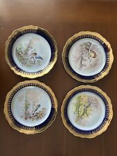 Set piatti decorativi usato  Pavia