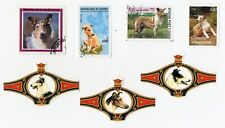 Collie smooth collection for sale  COLEFORD