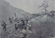 Uva vino bella usato  Italia