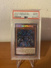 Raviel lord phantasms usato  Busto Arsizio