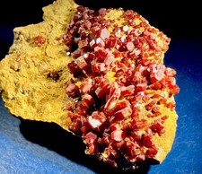 Top diamantlänzende rangerote gebraucht kaufen  Limburg a. d. Lahn