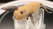 Vintage heddon lure for sale  Hales Corners