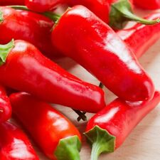 Chilli plants apache for sale  BANBURY