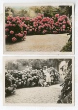2 Fotos Silver Print Dont Una con Acuarela Vernaculaire Hacia 1930/40, usado comprar usado 2 Fotos Silver Print Dont Una con Acuarela Vernaculaire Hacia 1930/40, usado comprar usado  Enviando para Brazil