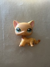 Hasbro lps petshop d'occasion  Crécy-la-Chapelle