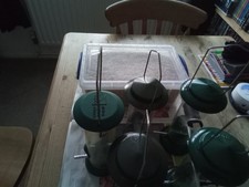 Rspb approved bird for sale  HAYWARDS HEATH