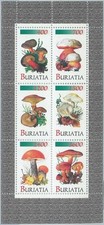 M2215 stato russo usato  Milano