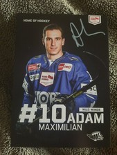 Maximilian adam serc gebraucht kaufen  Meßstetten