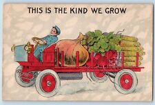 Exaggerated veggies postcard for sale  Terre Haute