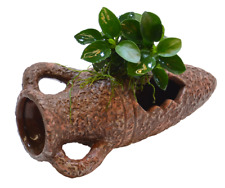 Aquarium deco amphora for sale  MANSFIELD