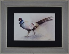 Cock pheasant. original for sale  LEYBURN