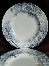 Assiettes creuses salins d'occasion  Reims