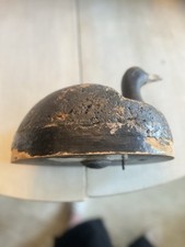 Walter ruppel coot for sale  Eustis