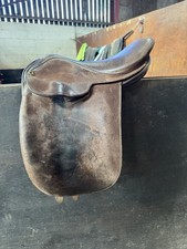 Fylde hayden for sale  BINGLEY