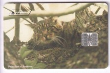 Andorre telecarte phonecard d'occasion  Ménéac